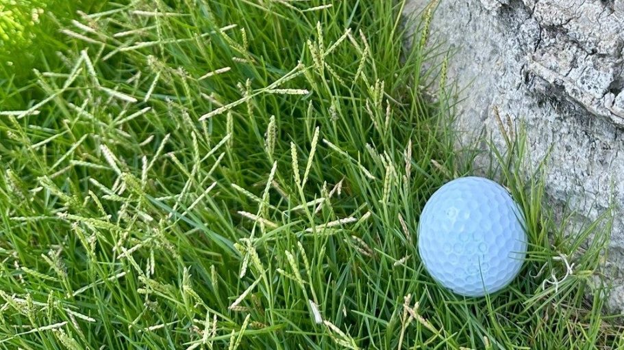 Ein Klassiker auf dem Golfplatz: Der Ball liegt direkt am Baum. Was nun?