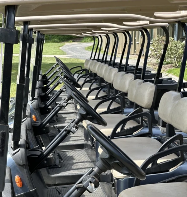 Golfcarts eines Golfclubs in einer Reihe geparkt