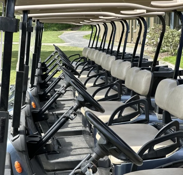 Golfcarts eines deutschen Golfclubs in einer Reihe geparkt Golfcarts eines deutschen Golfclubs in einer Reihe geparkt